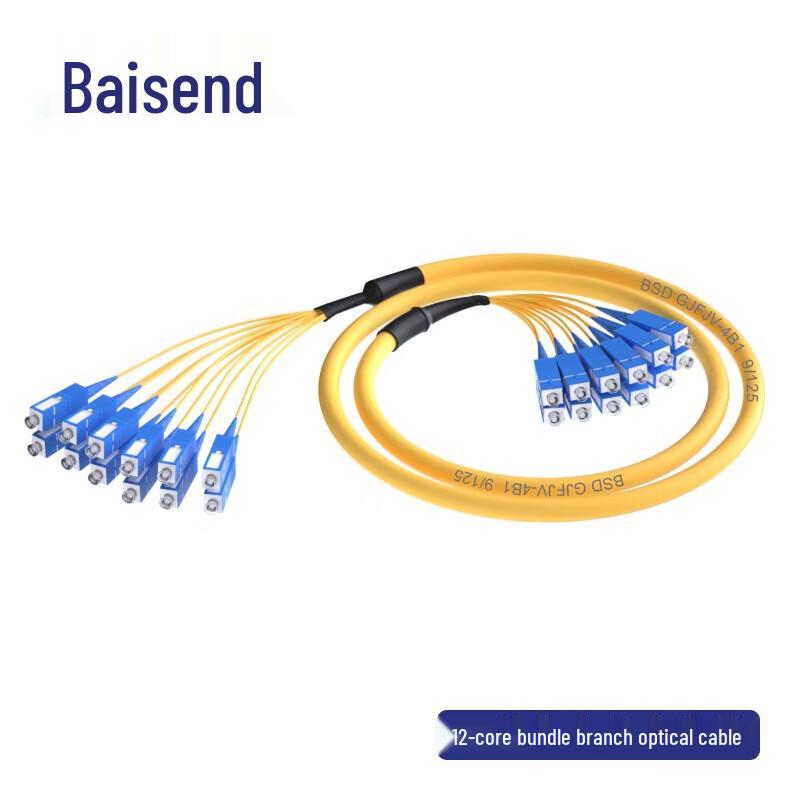 

Baisende 12-Core SC-SC Single Mode Indoor Fiber Optic Patch Cable 3m