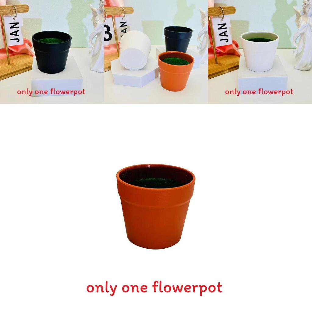 Plastic Flower Pot With Foam For Home Gardening And Live Plant Display