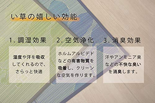 IKEHIKO Igusa Rug Carpet, Loose, Green, 180 x 240 cm, 8470380