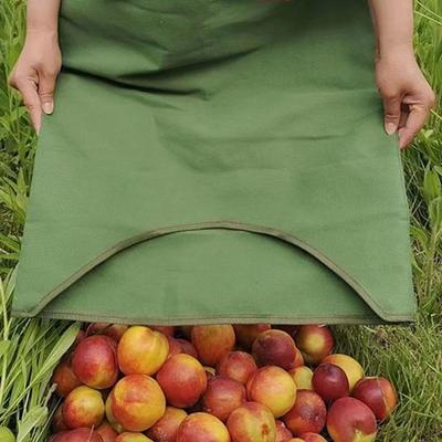 Tuingereedschap – Fruitplukkers