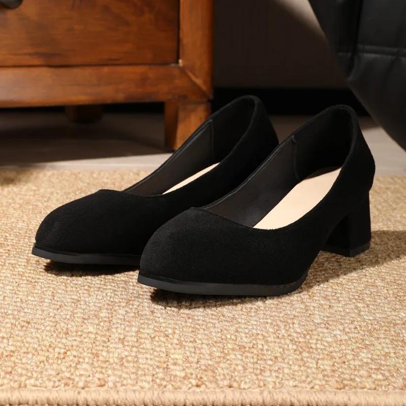 Fashion Women's Fashion Thick Heel Shoes Spring New Pointed Head Shallow Mouth Anti-slip Wear-resistant High Heels