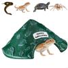 Reptile – Terarii pentru reptile