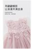 David Bella Girls' Dress Summer Dress Children's Dress Baby Princess Dress Puff Dress Performance Dress
