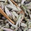 Yunnan White Bud Pu-erh Chá Bai Ya Bao Sheng Puerh Folha Solta Raw Puer Yabao