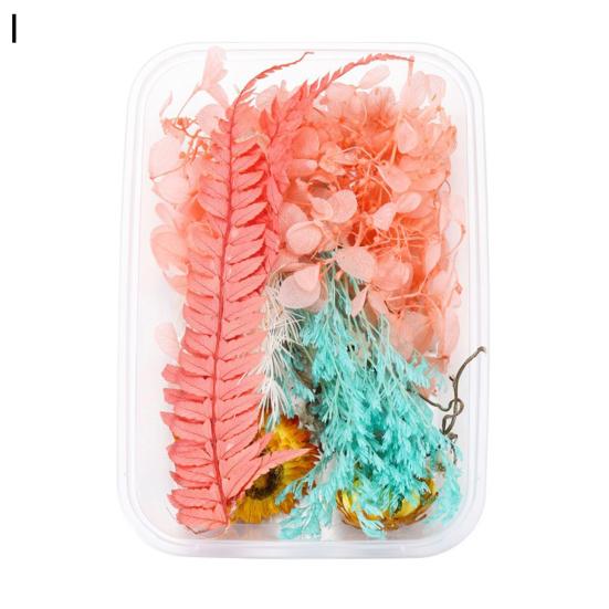 Artă populară Floare uscată Moale Vii Estetică