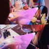 Mini Manicure UV Glue Purple Light Curing Lamp With Book Clip Control Switch 3W Multi-purpose USB