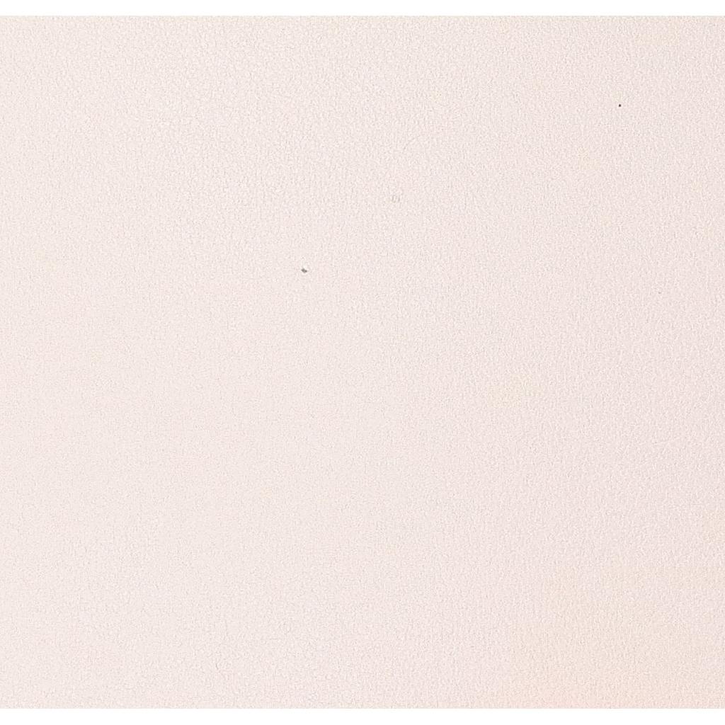 COACH CJ723 Mini Claire Crossbody Bag with Floral Embroidery Shoulder bag whiteUsed