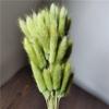 Yunnan Dried Flowers Bouquet - Rabbit Tail Grass