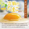 Settella Winter Gift Nagasaki Castella 250g 9-slice cut 1 piece included Year-end Celebration Return Offering Memorial Service Condolence