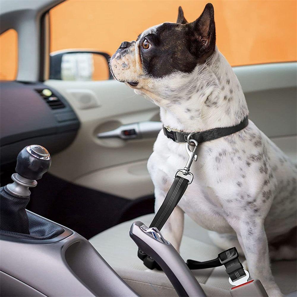 New Adjustable Dog Seat Belt Elastic Retractable Dog Leashes Durable Pet Safety Rope Pet Supplies