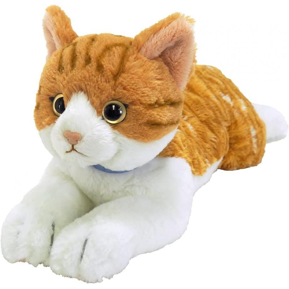 Sun LeMon Knee Cat Chashiro M 16 X 47 X 18 cM Plush aniMal Cute Cat Cat P 7802 Cat Chashiro M