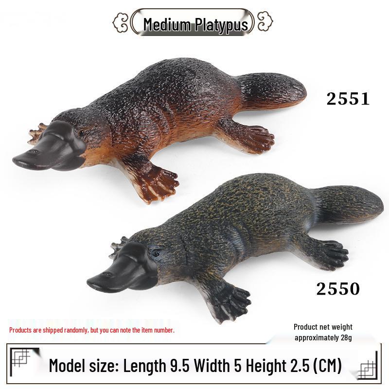 Australian Platypus Medium-Sized Children s Toy Model