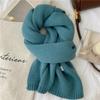 New Imitation Cashmere Knitted Scarf for Women Winter New Korean Fashion Versatile Warm Scarf Soft and Skin Friendly