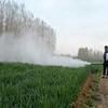 Zhou Xiang Disinfectant Pulse Fog Machine