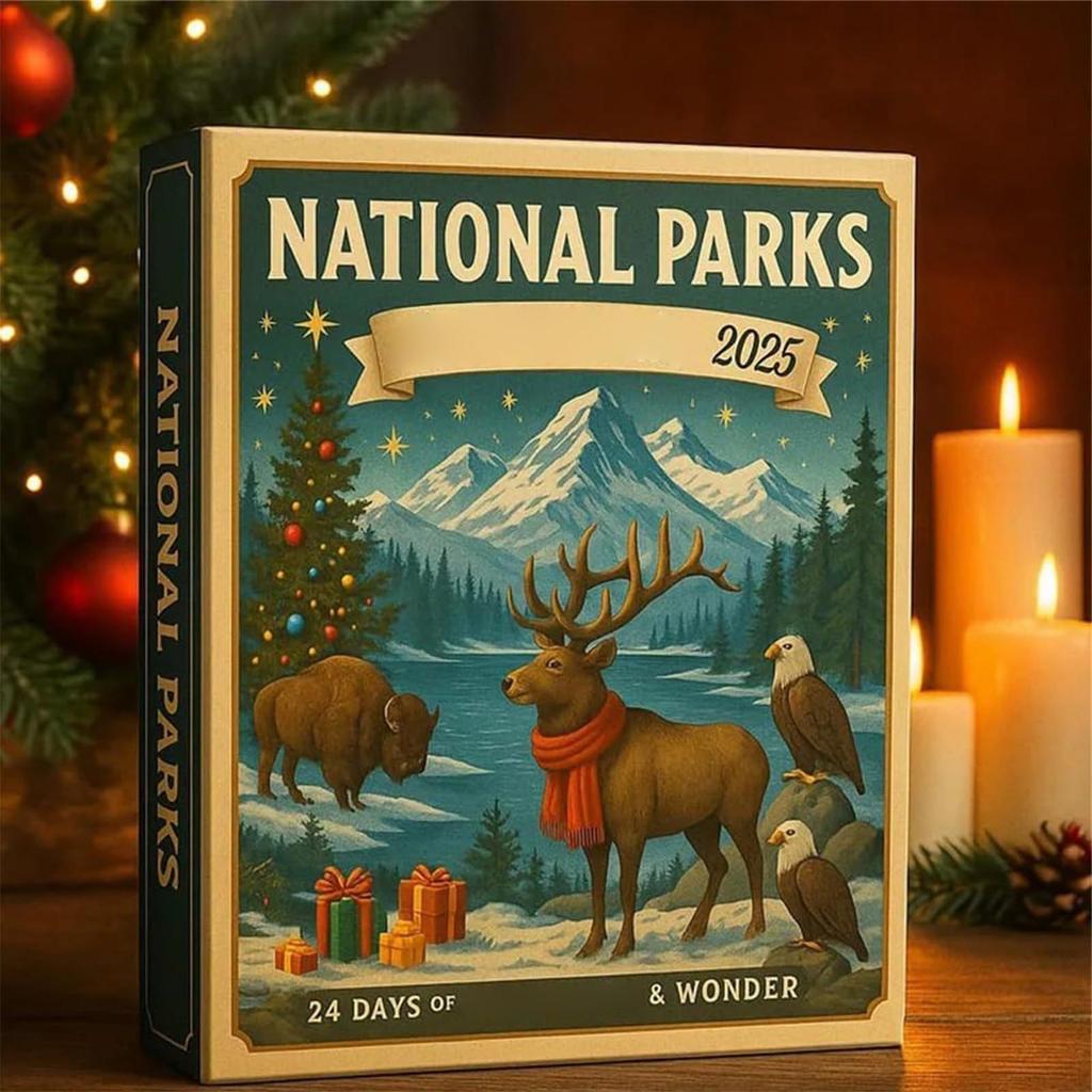 2D Flat Ornaments Christmas Tree decorations 24 Days Christmas Countdown gifts Festive Decor National Parks Themes decor