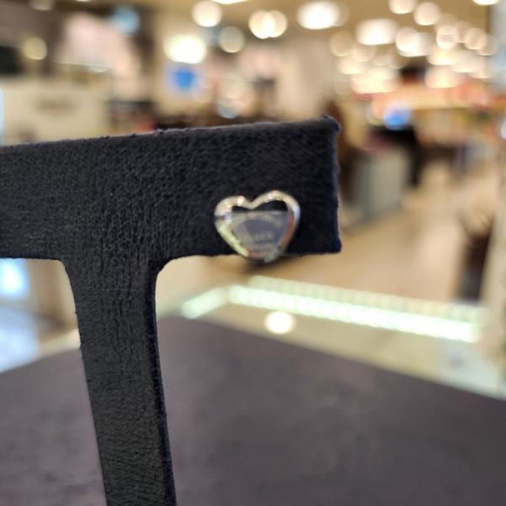 ARTRIA Surgical Steel Heart Forever Love Earrings EWSEBSC0001WHF