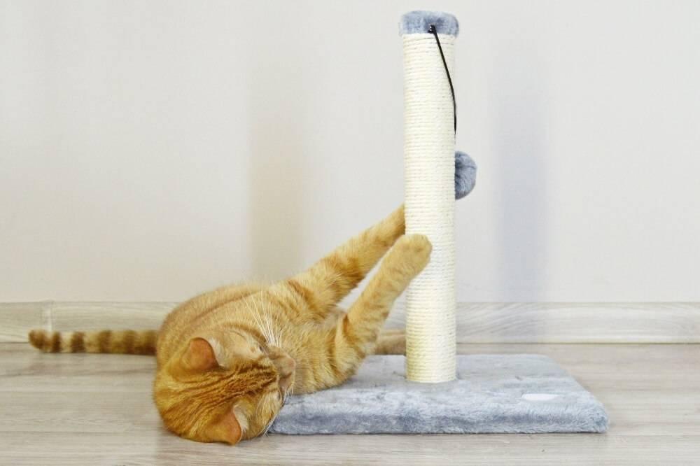 Arranhador de gato com poste - construção estável 80 cm.