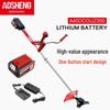 Kalei Aosheng Rechargeable Lawn Mower & Brush Cutter CN plug (adapter included)