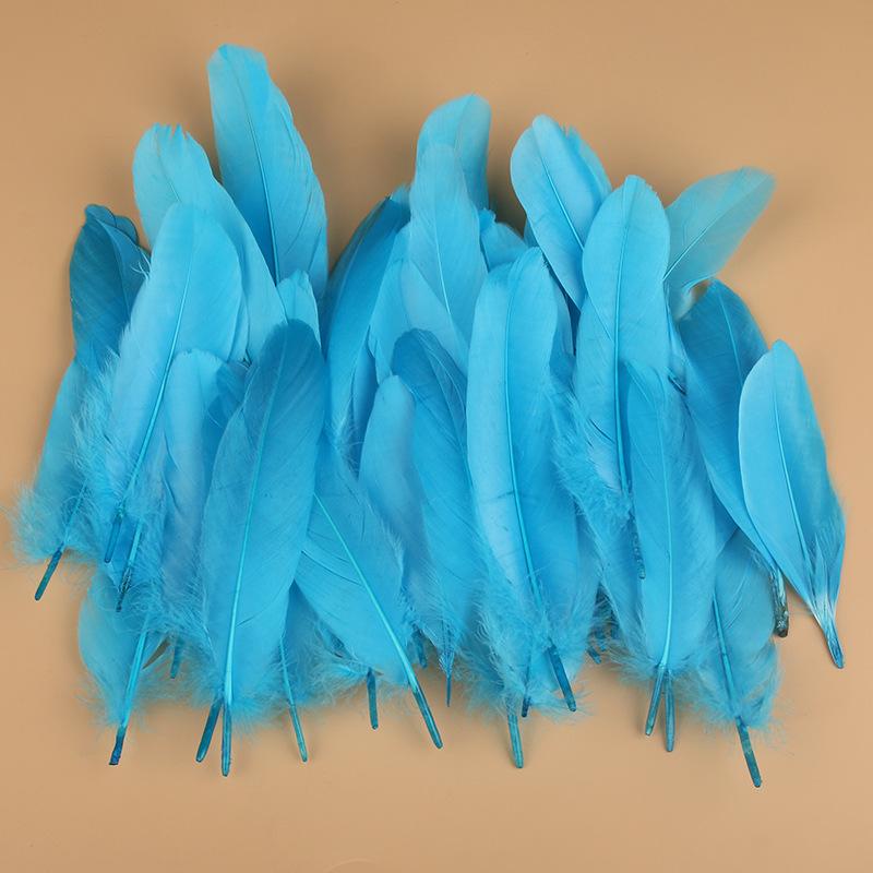 50Pcs Shellfish Feather Goose Feather Diy Handmade Jewelry Accessories Handicrafts Cat Toys Decorative Feathers