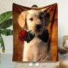 Golden Retriever  Rose Floral Blanket  Reversible AllSeason Snuggles Dog Lover Gifts  Cozy Home Moments
