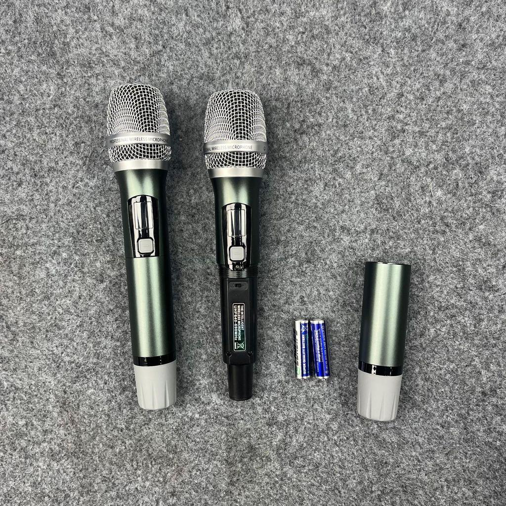 True Diversity Dual Wireless Microphone - In Stock
