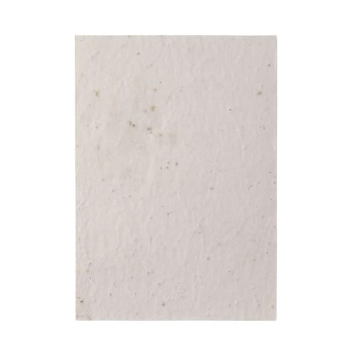 MidOcean Aside Wildflower Seed Paper