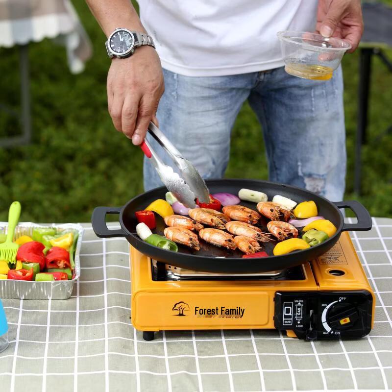 ZISIZ Outdoor Portable Gas Stove