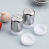 Stainless Steel Salt Shaker with Dust Cover Condiment Jar Mini Seasoning Bottle  Kitchen