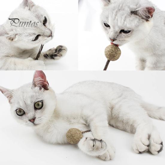 Lutscherform Katzenminze Ball Katzenspielzeug Kätzchen Zähneputzen Snack Silberrebe Stick
