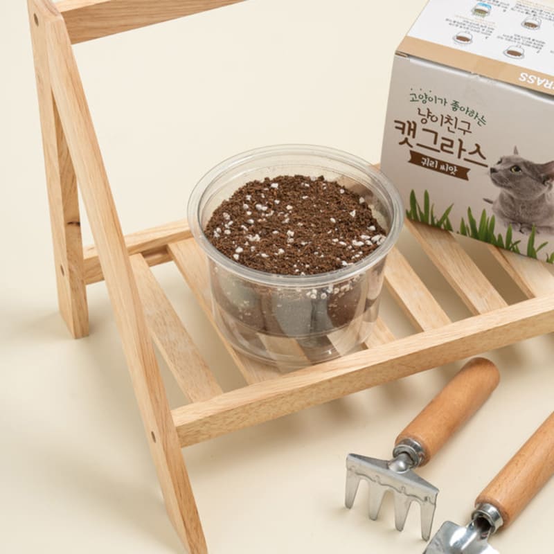 [Pet] Coom Cat Friend Catgrass Seeds (Oat)