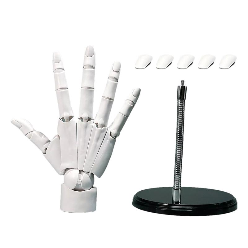 

Модель руки с подвижными суставами Рисование Фигурка Эскиз Художник Живопись Скульптура Рука Палец Сустав Фигурка Figma Кукольный домик Украшение белый