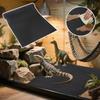 Reptielen Terrarium Liner Tank Bodembedding voor Baardagaam Luipaardgekko Slang Schildpad Makkelijk te Knippen Amfibieën Kooi Mat Pad Tapijt Basis