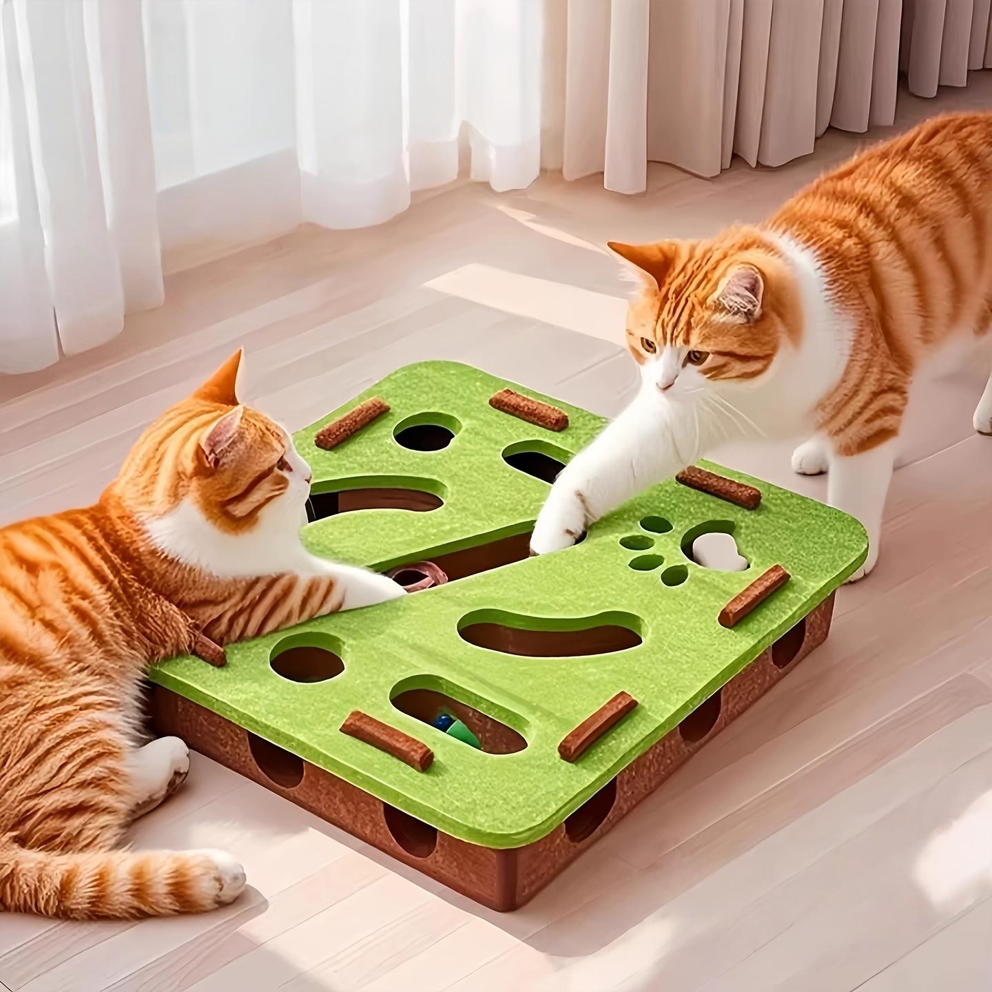 

1PCS Cat Self-pleasure and Boredom Relief Artifact - Cat Fun Box to Amuse Cats and Pets, Educational Digging Toys 1PCS зелений