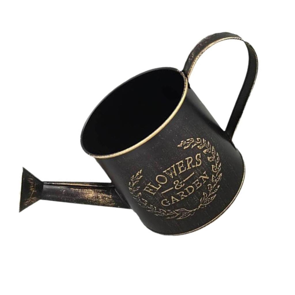 Vintage Metal Flower Watering Can with Handle Metal Rustic Watering Can for Indoor Plants Succulents Balcony and Outdoor