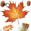 Autumn Window Clings 5Pcs Maple Pumpkin Static Clings, Fall Harvest Stickers, Easy Apply Decorations Glue-Free Removable Decor for Thanksgiving
