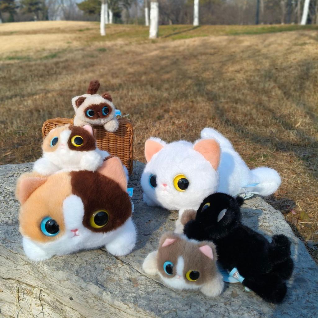 Cat Plush Toy Black White Short Fur With Large Eyes For Kids And Collectors