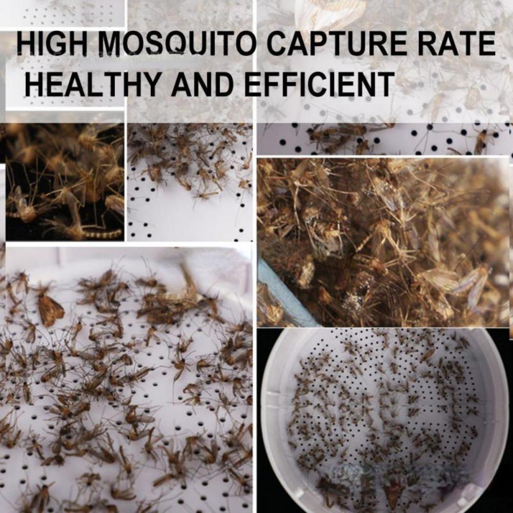 5PCS Led Mosquito Lamp 360° Mosquito Mini Uv Mosquito Killer Lamp Mosquito Lamp Mosquito Repellent Usb Powered Portable Easy To Clean