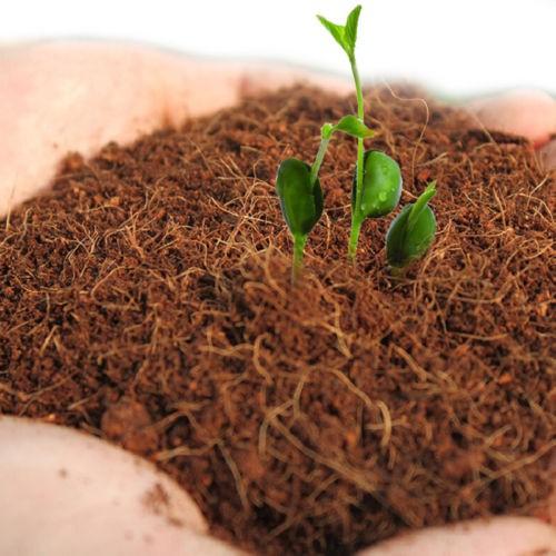 Komodo Coconut Terrain - Coconut Substrate 6L