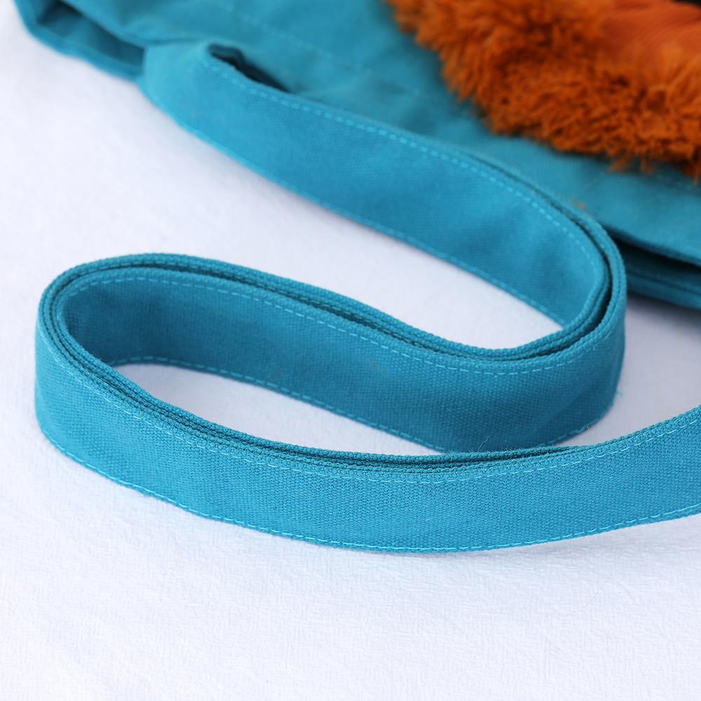 Pet Cat Carriers Lion Design Draagbare ademende tas Katten Hondendraagtassen Uitgaande reizen Huisdieren Handtas met veiligheidsrits
