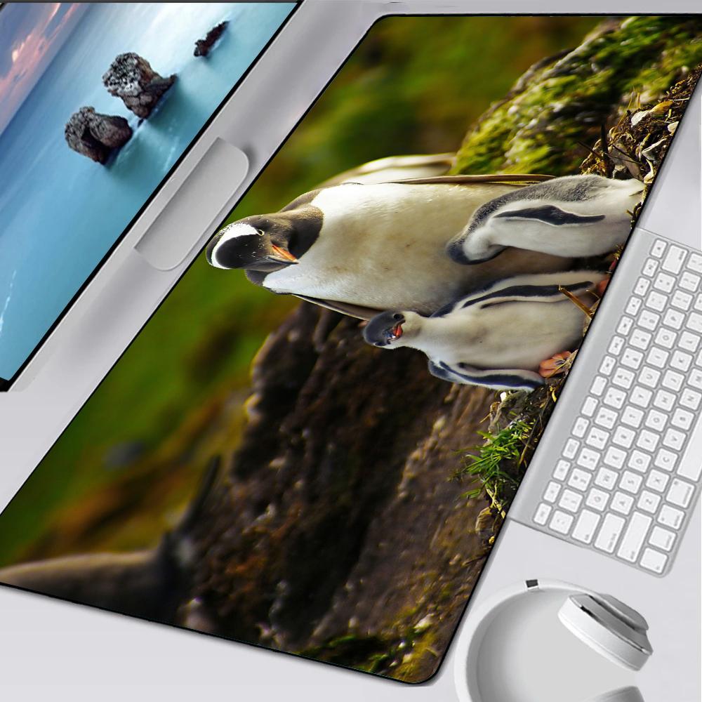 Pinguino antartide carino madagascar Tappetino per Mouse Tappetino in Gomma Laptop Xxl Mousepad Quaderno Giocatore Tavolo Computer Accessori da Gioco