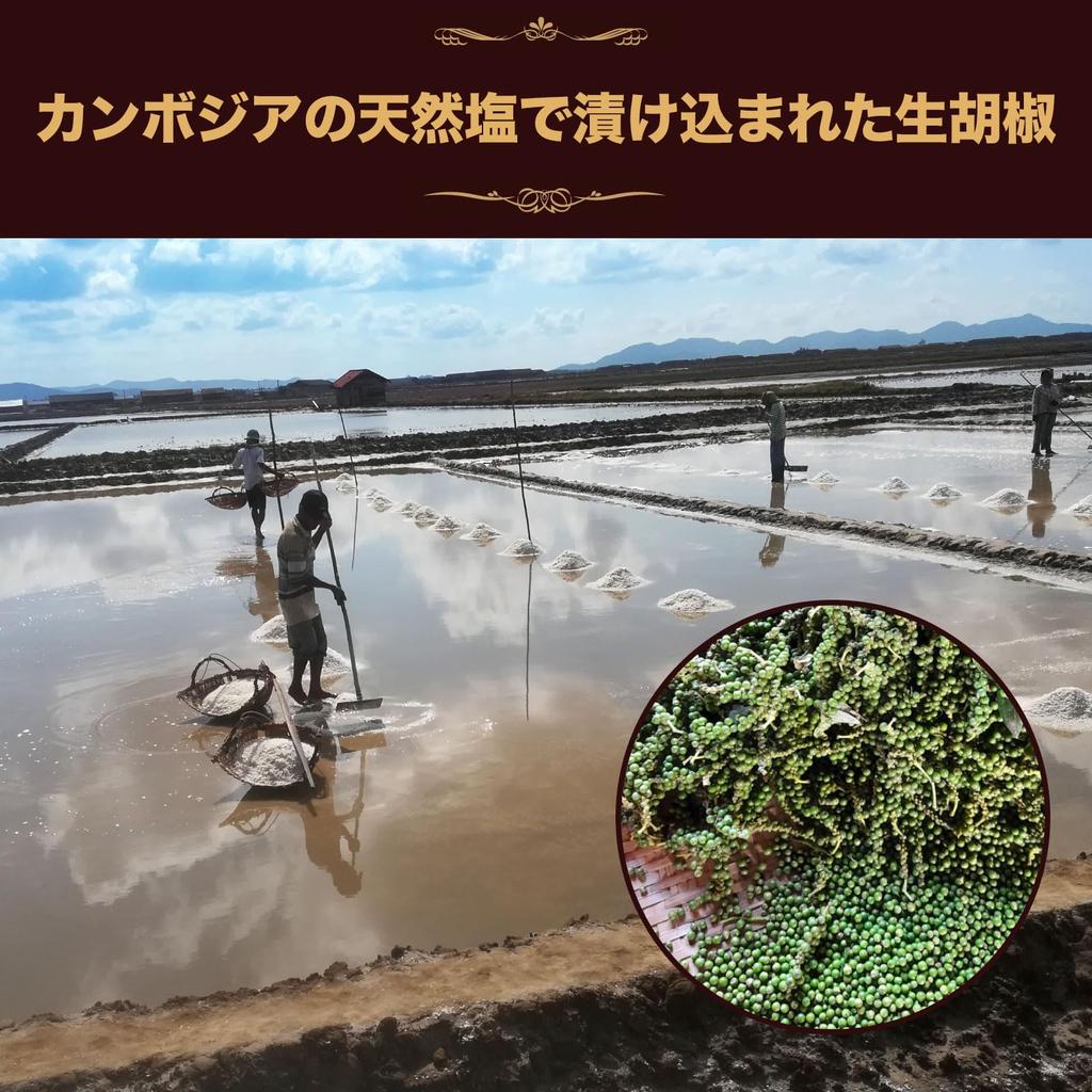 Cedar Farm Salt-Preserved Raw Black Pepper Whole Organic Kampot Pepper JAS Certified 50g Black Pepper Japan Quality