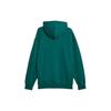 Puma Logo Embroidered Long-Sleeve Hoodie Sweatshirt Unisex Tops Olive-Green 620819-43