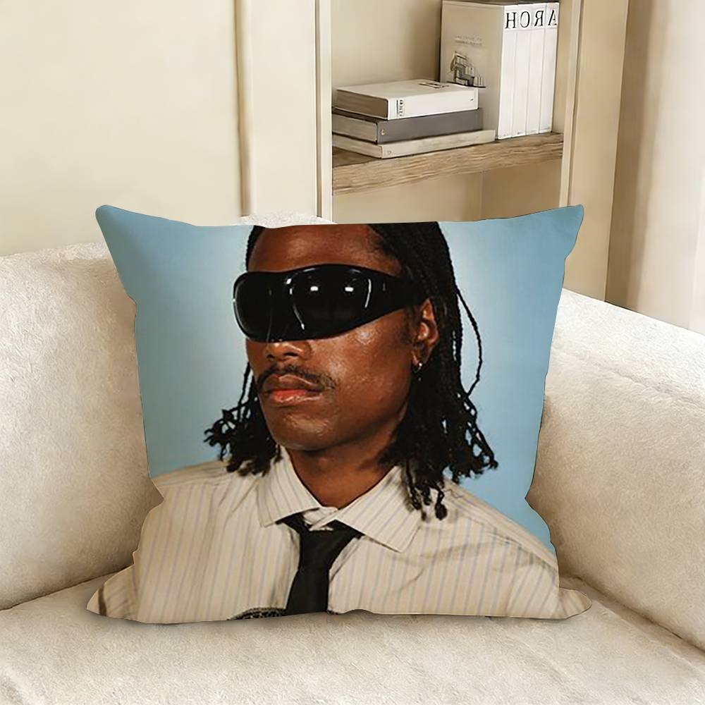 SSteve LLacy Pillow Case Living Room Sofa Cushion Cover Suitable For Home Bedroom Room Decoration