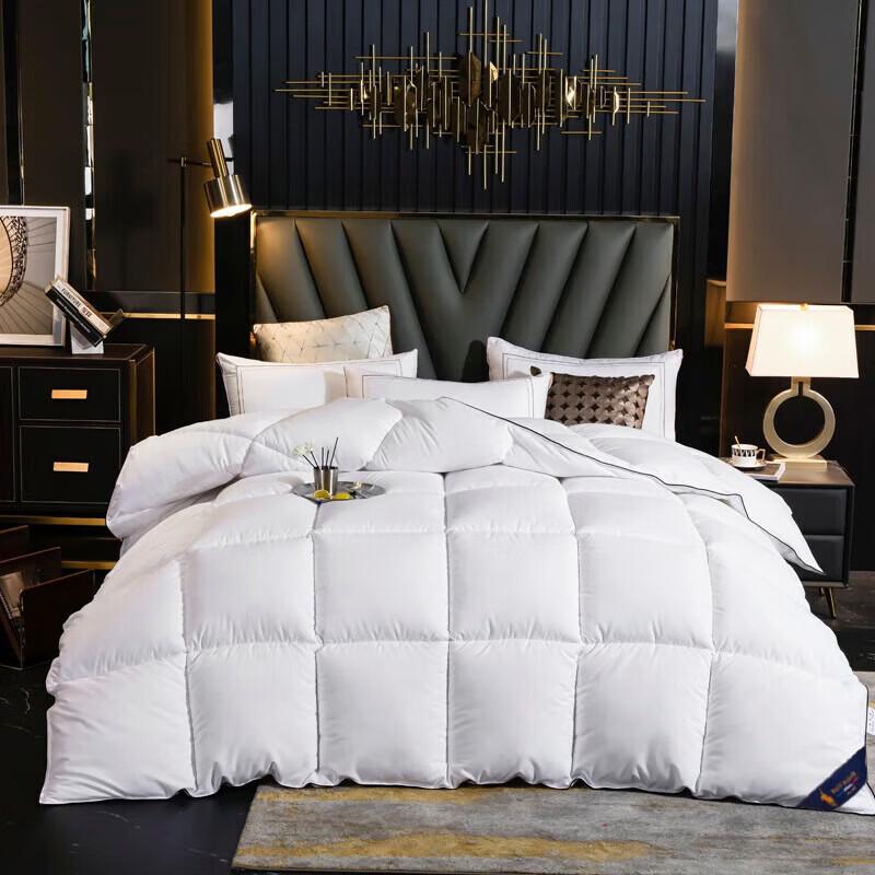Paul David Goose Down Quilt