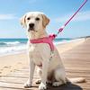 Adjustable Dog Harness Breathable Dog Harness And Leashes Set Pet Chest Strap Pet Supplies Dog Accessories For Small Dogs