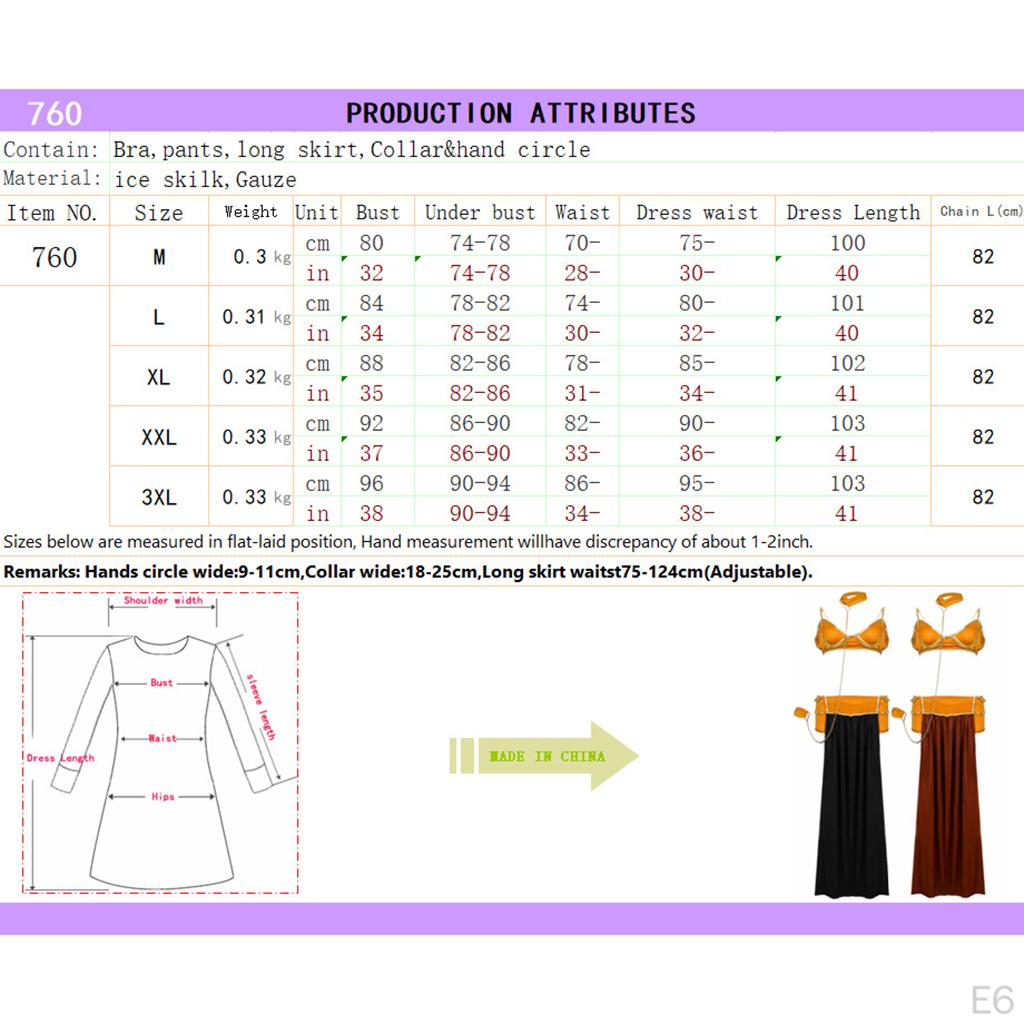Professional Belly Dance Costume Women Performance Bra Skirt Set