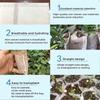 100 Pcs Nursery Growing Bags Large,Garden Seed Starters Pouch Small,Fabric Seedling Pots