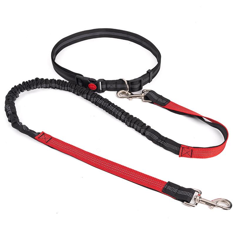 Empty Shell Weight Carrying Strap Vest with Pockets Muscle Training Kit Dogo Argentino American Pit Bull Large Canine K9 Jacket