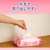 Adult Wet Wipes, Made in Japan, Widely Used in Nursing Homes, Approximately Double the Size (20cm x 30cm), Reduces Caregiver Burden, Soft, Thick, Text