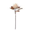 Wabi-sabi Style White King Protea Artificial Flower Flocking Caramel Simulation Flower Photo Props Faux Flower Autumn Colors